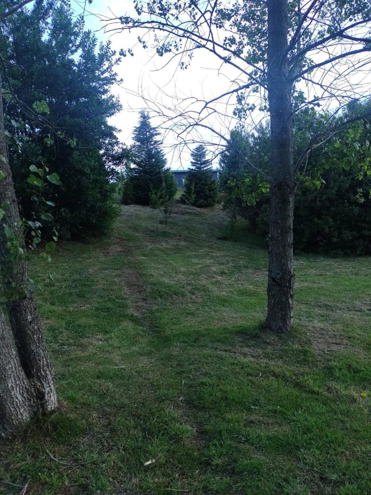 Agradable Cabana Puerto Varas Bagian luar foto
